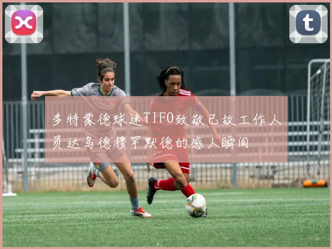 多特蒙德球迷TIFO致敬已故工作人员达乌德穆罕默德的感人瞬间